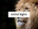 Animal Rights