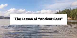 The Lesson of “Ancient Seas”