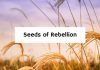 Seeds of Rebellion