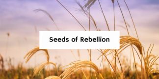 Seeds of Rebellion