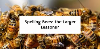 Spelling Bees: the Larger Lessons?