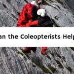 Can the Coleopterists Help?