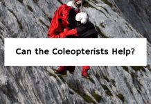 Can the Coleopterists Help?