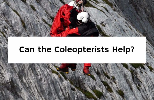 Can the Coleopterists Help?