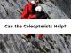Can the Coleopterists Help?