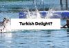 Turkish Delight?