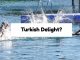 Turkish Delight?