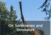 On Seminaries and Dinosaurs