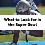 What to Look for in the Super Bowl