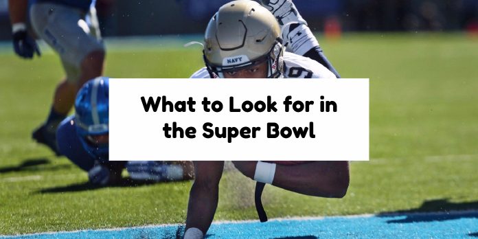 What to Look for in the Super Bowl