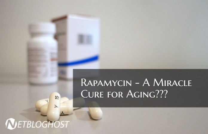 what Rapamycin is used for