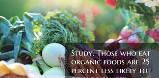 Study: Those who eat organic foods are 25 percent less likely to develop cancer