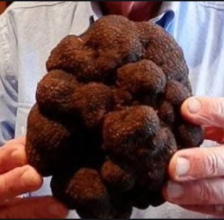 truffles